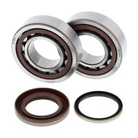 All Balls Engine Main Bearing Kit for KTM 250 XCFW 2012