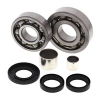 All Balls Front Diff Bearing Kit for Polaris Xpedition 425 2000-2002