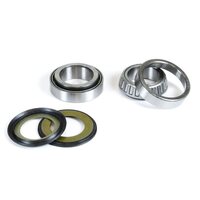 Pro X Steering Bearing Kit for TM TM250 EN/MX 2002-2011