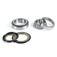 Pro X Steering Bearing Kit for Honda GL1000 2001-2007