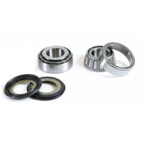 Pro X Steering Bearing Kit for Beta EVO 300 4-Str. 2009-2012