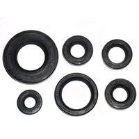 Bronco Engine Seal Kit 43.AT-09611