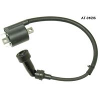 Bronco Ignition Coil  56.AT-01696