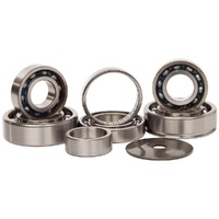 Hot Rods H-TBK0006 Transmission Bearing Kit