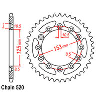 RK 40T Rear Sprocket for Beta RR390 4T 2015-2019