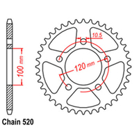 RK 40T Rear Sprocket for Aprilia TUONO 660 Factory 2022