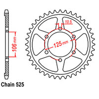 RK 42T Rear Sprocket for Triumph 1200 Scrambler XE 2019-2021