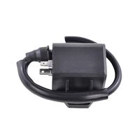 RM Ignition Coil (RMS06120)