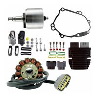 RM Staor Kit/Lithium Conv Kit (RMS900106857)