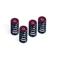 Barnett Red Clutch Spring for Kit for Ducati 900 EVO 2002