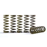 Hinson Hi-Temp Clutch Spring Kit - Set Of 6 ( CS216-6-0315 )