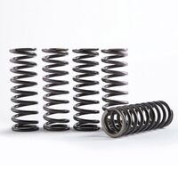 Hinson Hi-Temp Clutch Spring Kit - Set Of 5 for Kawasaki KFX450R 2008-2014