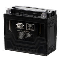 USPS AGM Battery for Kawasaki Teryx4 800 2014-2022