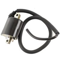 Whites WPELC04120133 12V CDI Ignition Coil 