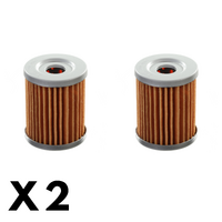 2 Pack Whites Oil Filter WPOF132