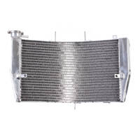 Whites Radiator WPRAD519