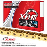 XAM Chain for Honda CB900F 1979-1983 >530 X-Ring Gold